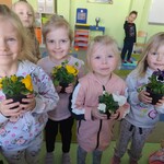 sadzimy cebulkę (4).jpg