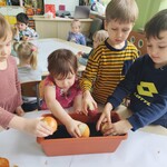 sadzimy cebulkę (6).jpg
