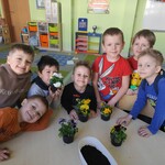 sadzimy cebulkę (7).jpg