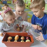 sadzimy cebulkę (8).jpg