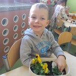 sadzimy cebulkę (13).jpg