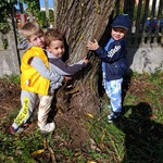 przytul się do drzewa (16).jpg