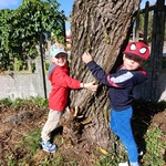 przytul się do drzewa (14).jpg