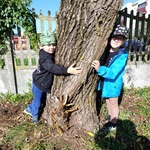 przytul się do drzewa (5).jpg