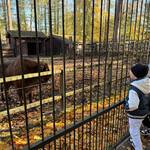 wycieczka do parku i ZOO (20).jpg