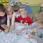 Królik Higienka (3).jpg