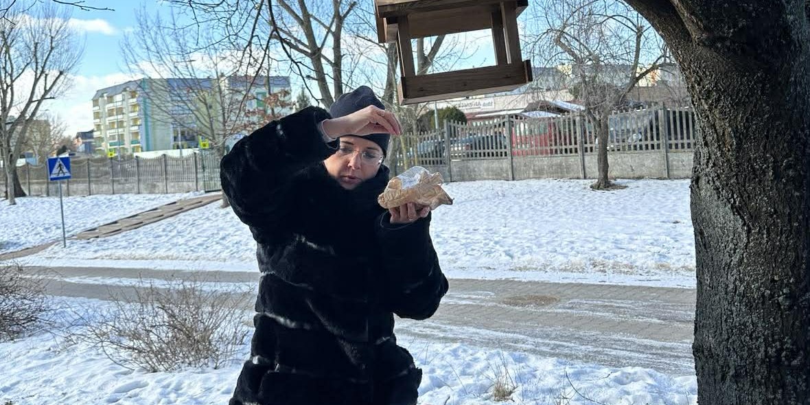 dokarmianie ptaków (1).jpeg
