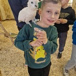 papugi (9).jpg