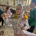 papugi (10).jpg
