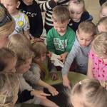 wodociągi żabki pszczółki (16).jpg
