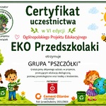 Certyfikat VI edycja EKO Przedszkolaki.jpg