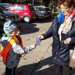 sowy głosy (2).jpg
