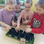 Zielony ogródek (11).jpg