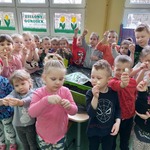 Zielony ogródek (15).jpg