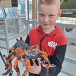 Chłopiec trzyma w rękach model pająka..jpg