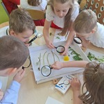 Mali wielcy odkrywcy Żabki (9).jpg