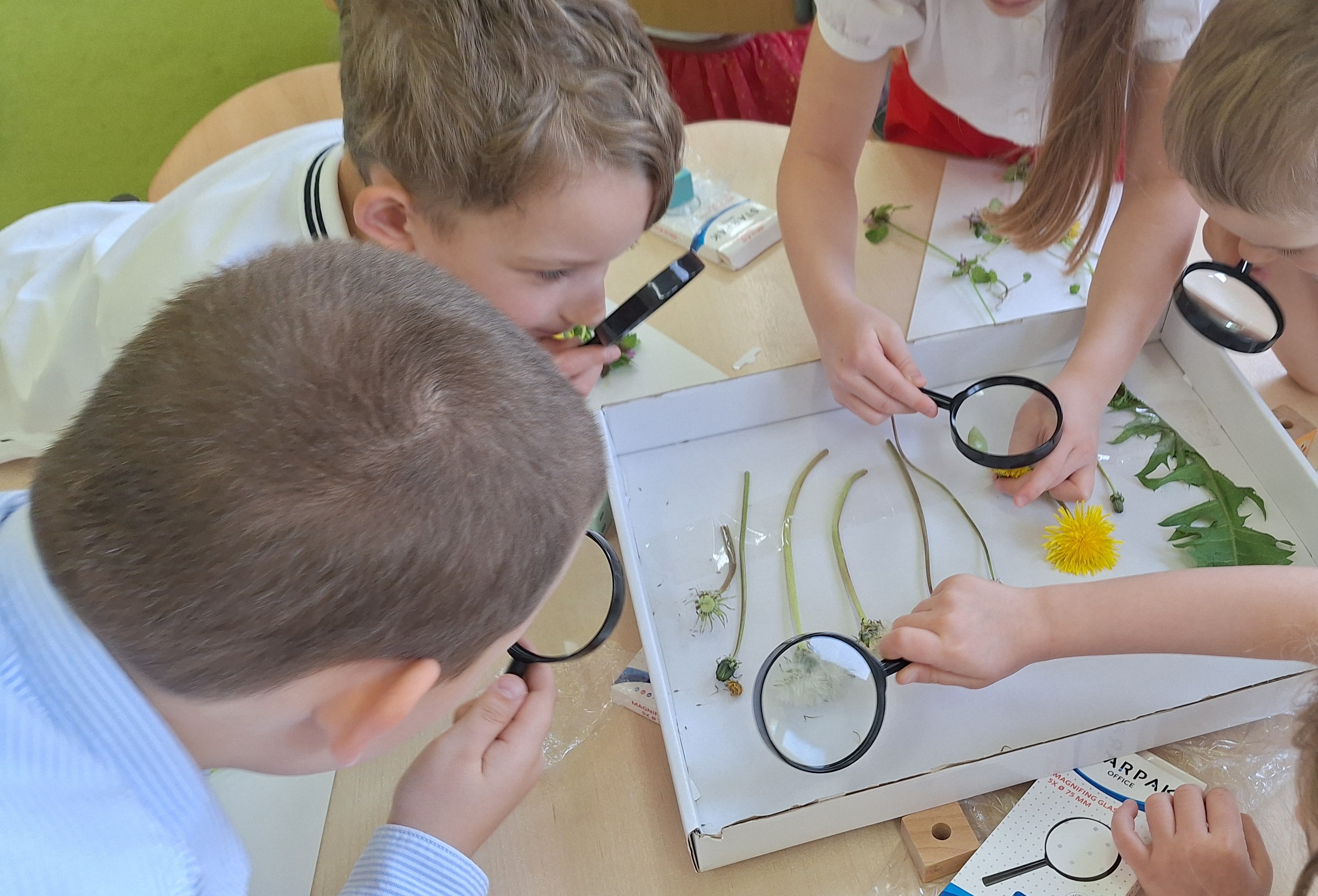 Mali wielcy odkrywcy Żabki (9).jpg