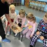 zajęcia edukacyjne - świat mrówek  (6).jpg