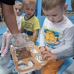 zajęcia edukacyjne - świat mrówek  (3).jpg