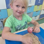 zajęcia edukacyjne - świat mrówek  (5).jpg