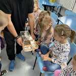 zajęcia edukacyjne - świat mrówek  (17).jpg