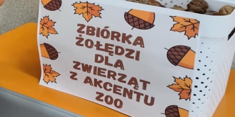 zbiórka żołędzi (4).jpg