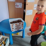 zbiórka żołędzi (6).jpg